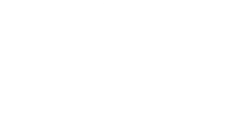 Rotary Switch Wireling - Image 4